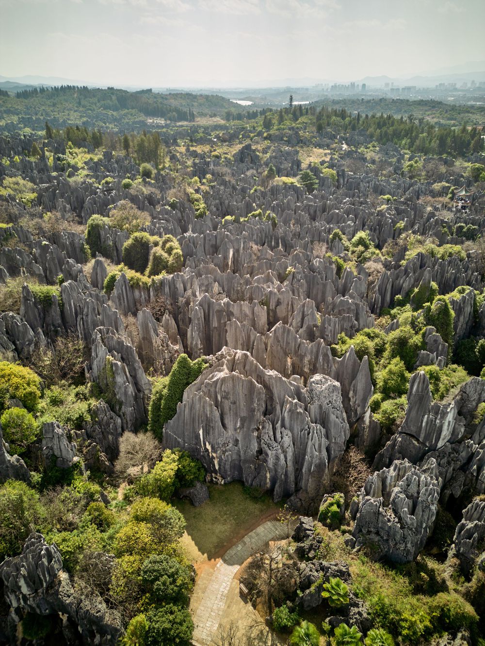 Aerial view of the Stone Forest limestone karst formations surrounded by green vegetation in Yunnan, China.