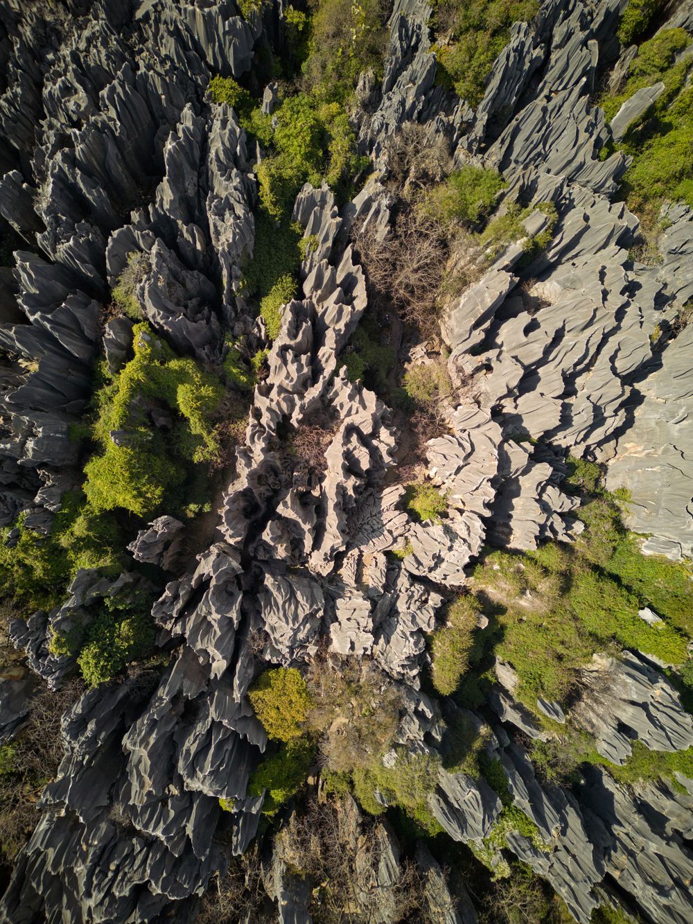 Aerial view of dramatic limestone rock formations with jagged spires and green vegetation in a natural karst landscape.