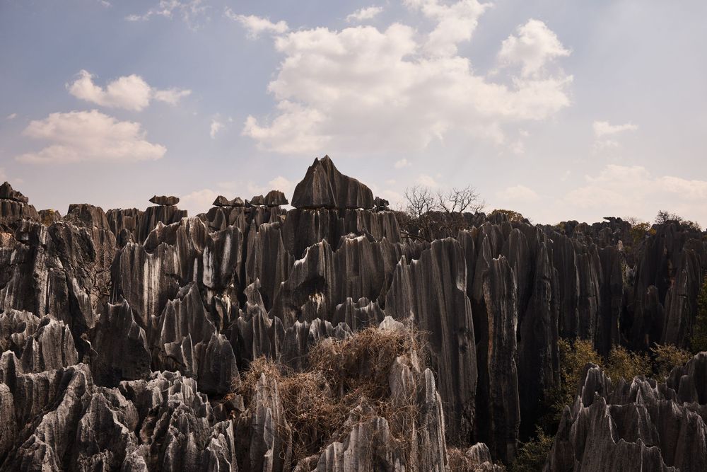 Dramatic limestone karst formations rise against a cloudy sky at the Stone Forest in Yunnan Province.
