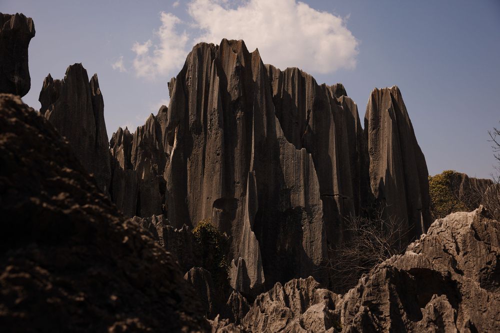 Dramatic stone pillars rise against a cloudy sky at the Putangirua Pinnacles geological formation in New Zealand.