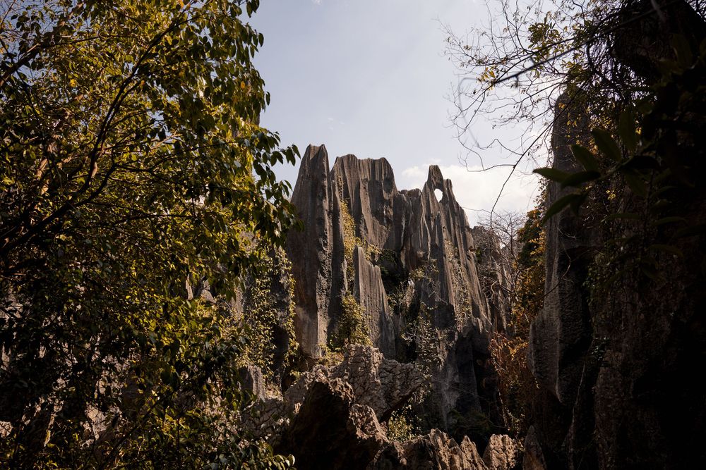 Tall limestone rock formations rise among autumn trees in a dramatic natural landscape.