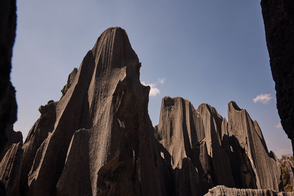 Dramatic stone formations rise against blue sky at Tsingy de Bemaraha National Park in Madagascar.