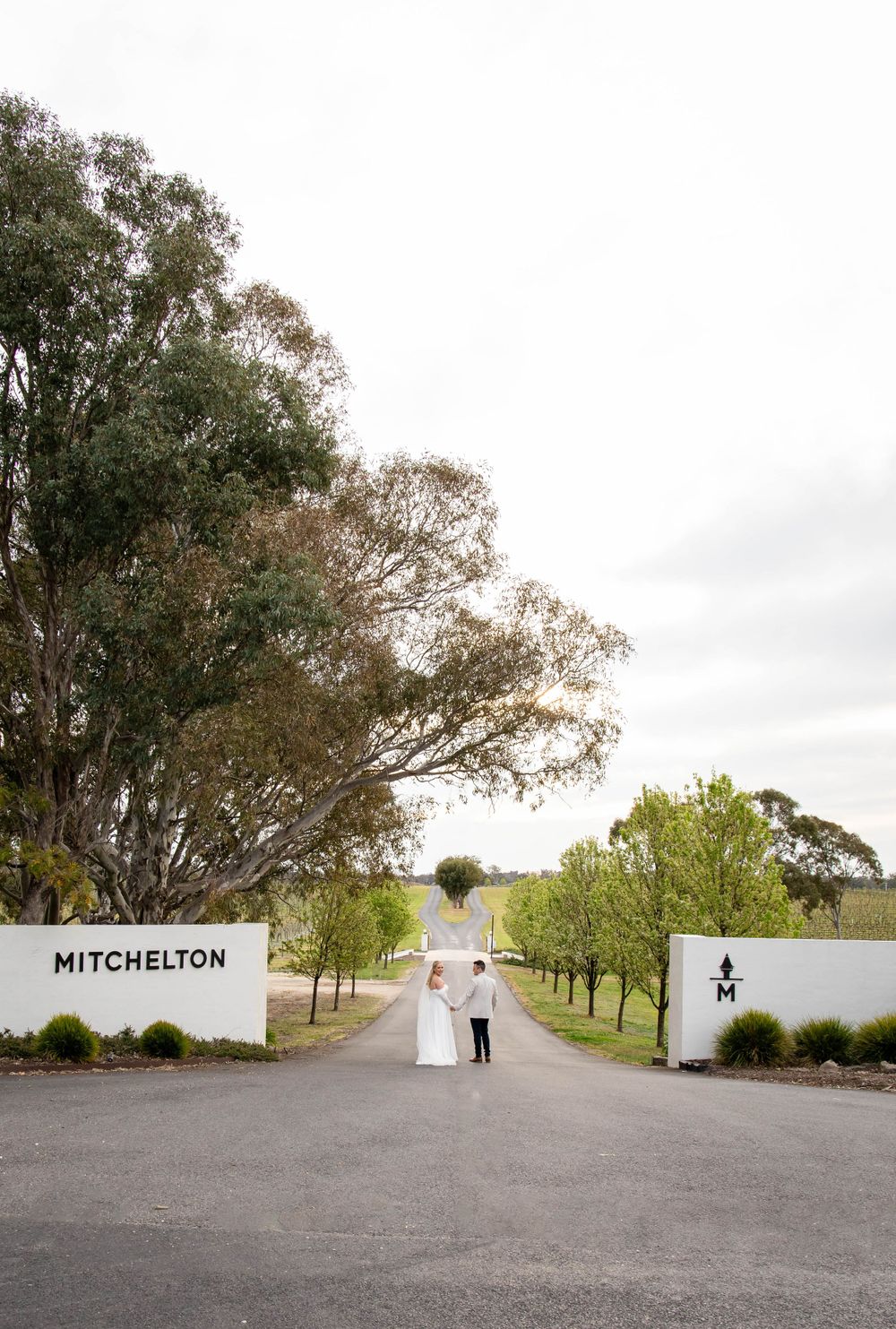 Tree-lined entrance pathway leading to Mitchelton estate with white pillars and gate under an overcast sky.
