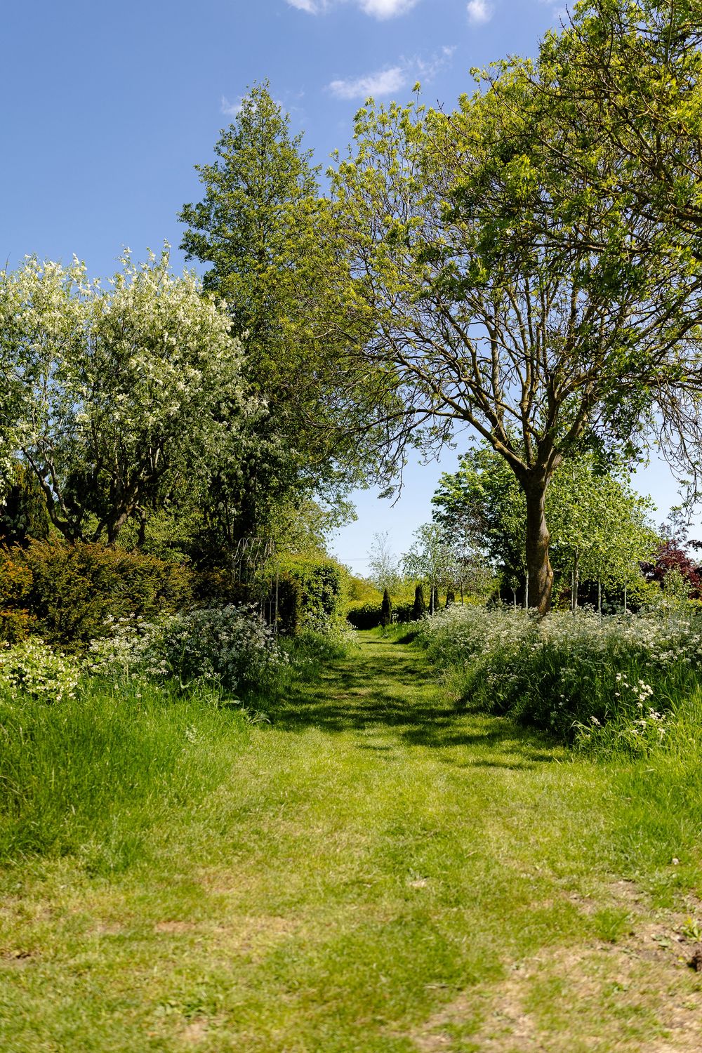 A grassy garden path winds between flowering trees and bushes under a bright blue spring sky.