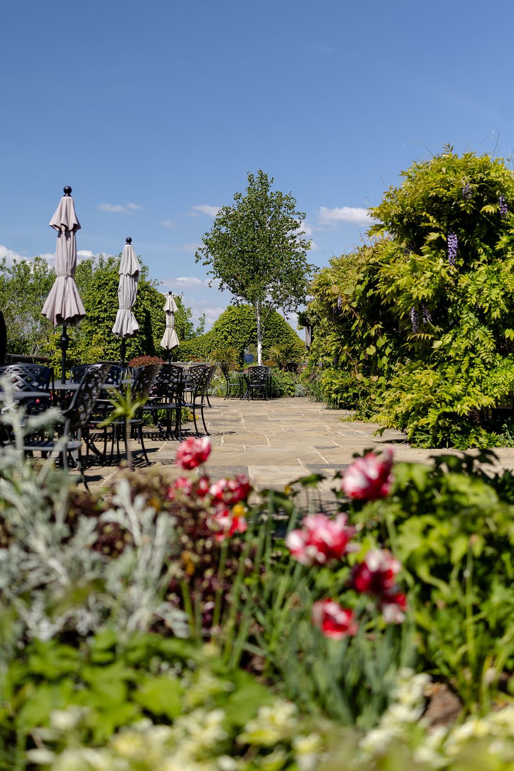 Outdoor patio garden with red roses, umbrellas, and seating arrangements against a bright blue summer sky.