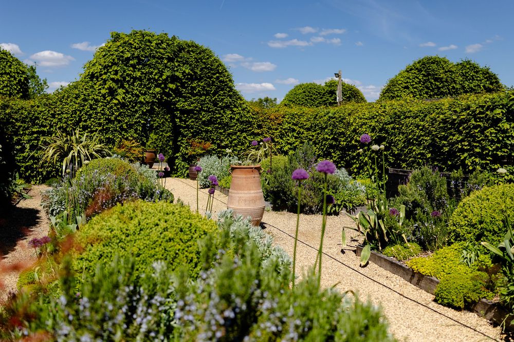 Elegant garden path lined with lush greenery, terracotta planters and colorful flowers on a sunny day.