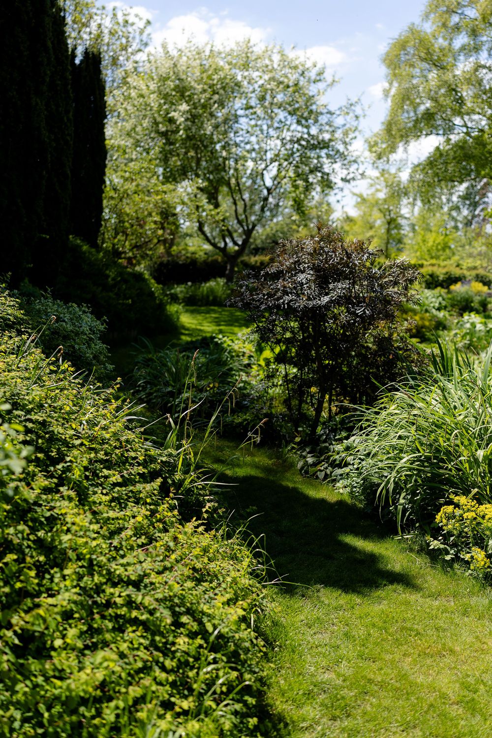 A winding garden path bordered by lush green shrubs and ornamental grasses leads through a peaceful landscape.