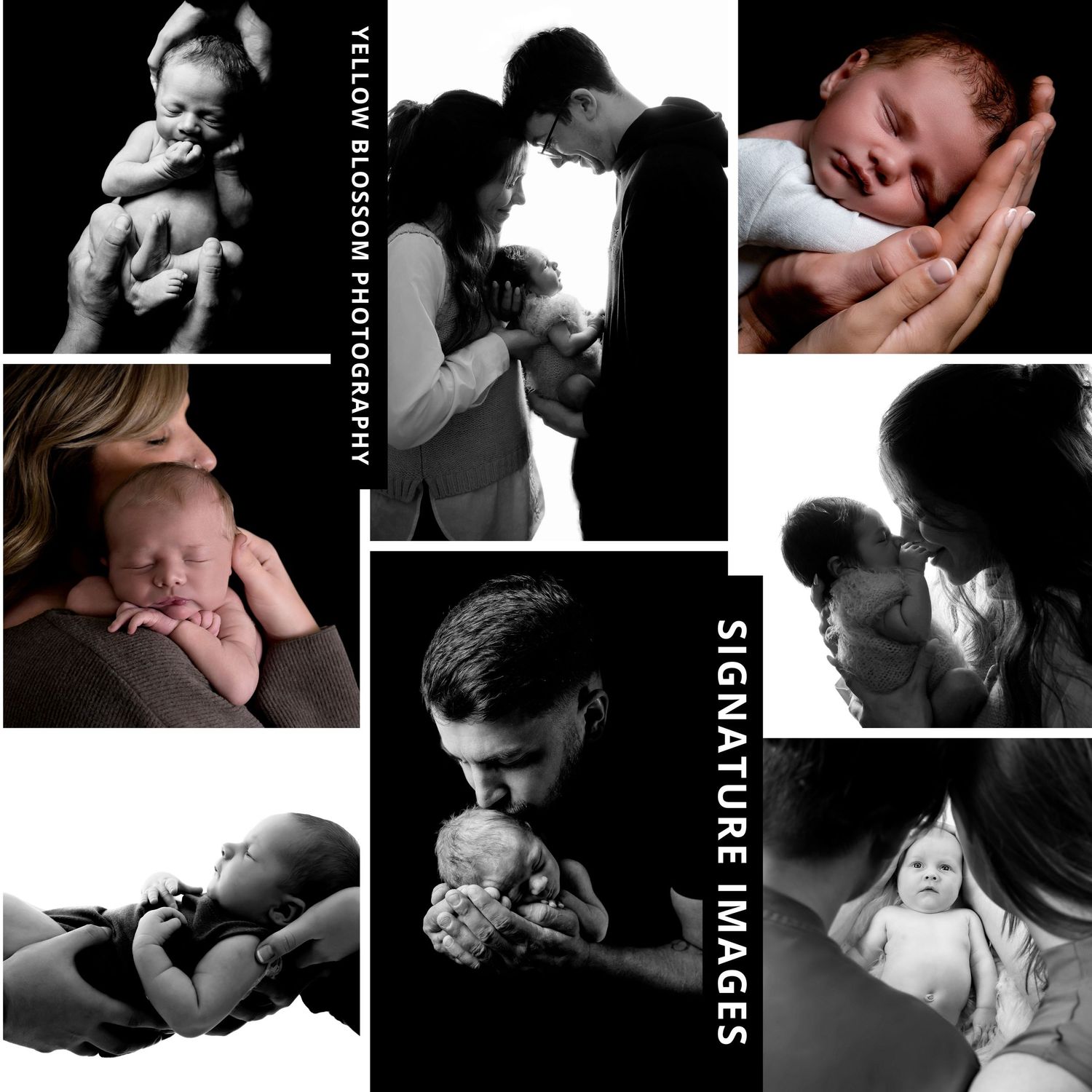 A black and white collage of intimate newborn photography portraits displayed in an artistic arrangement.