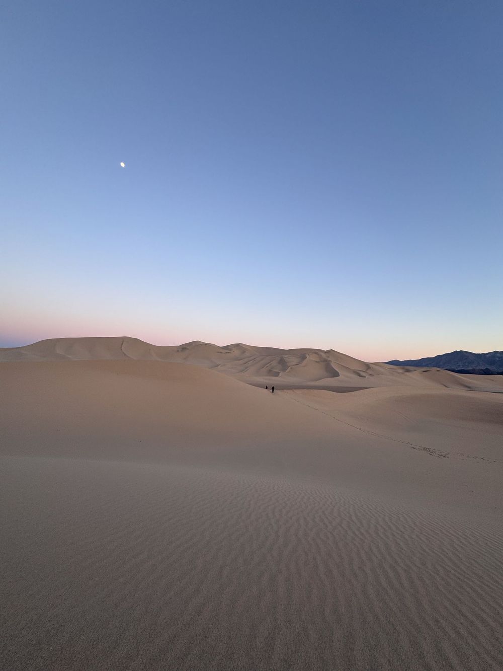 A lone figure walks across vast desert sand dunes under a pale blue sky at dusk.