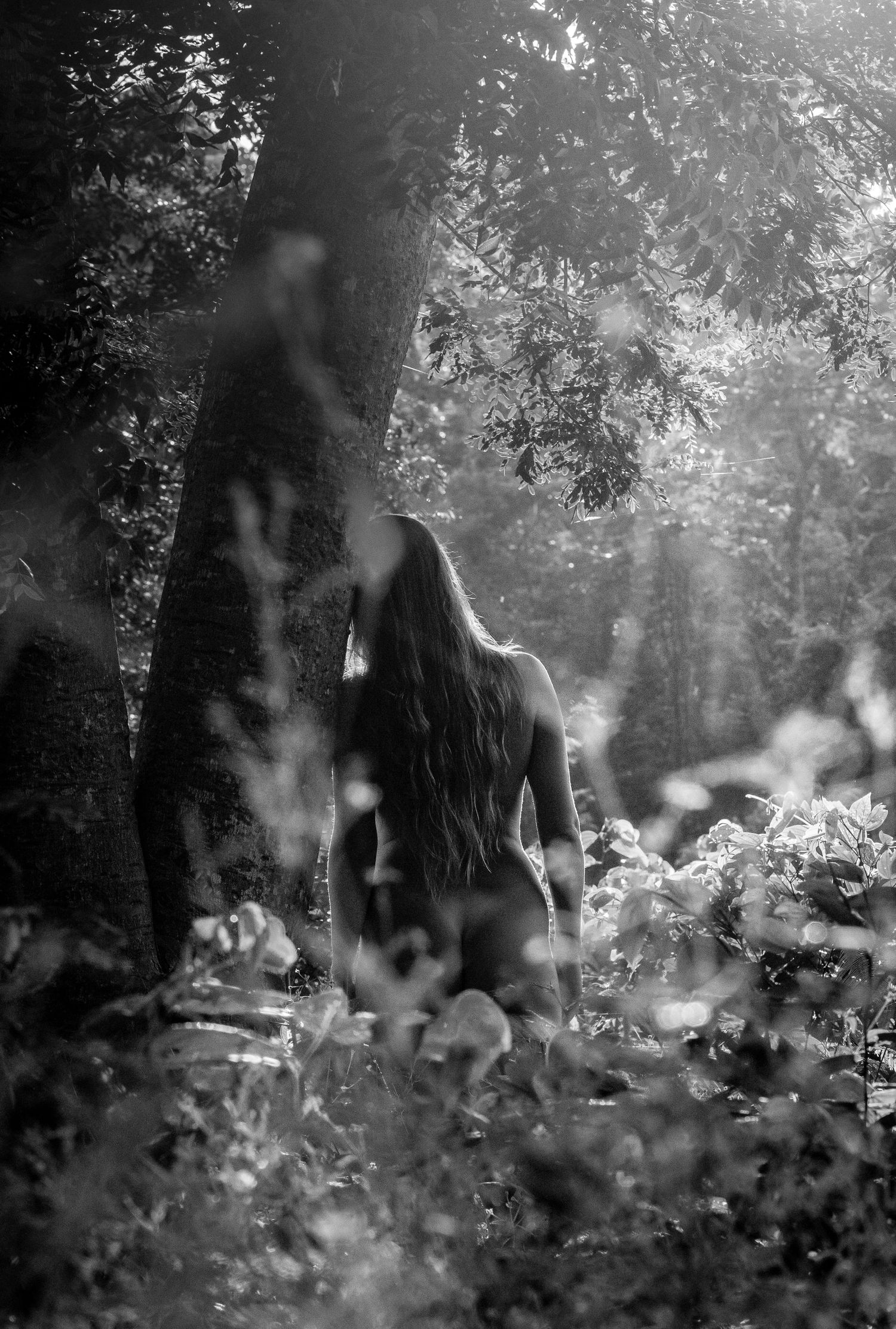 A misty black and white forest scene with a silhouette standing among trees and foliage.