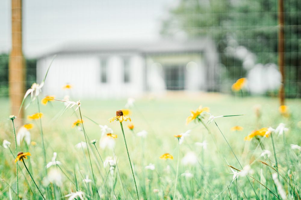 1600 SQFT BARNDOMINIUM INDOOR STUDIO FOR $60 PER HOUR RENTAL IN HITCHCOCK FOR PHOTOGRAPHERS AND CREATIVES ON 4.65 ACRES