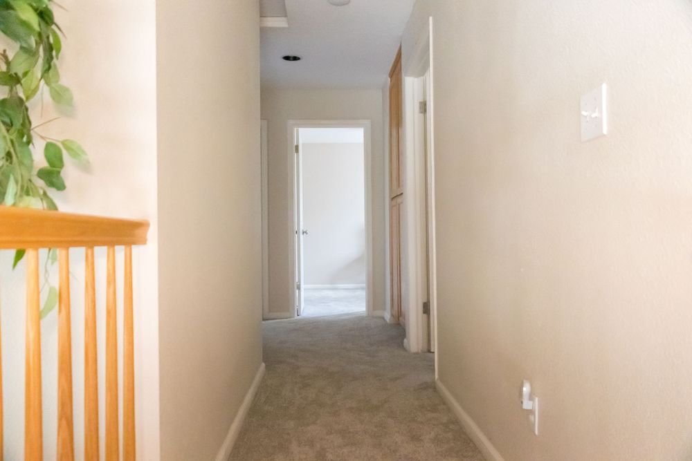 Long carpeted hallway with beige walls and houseplant visible in corner.