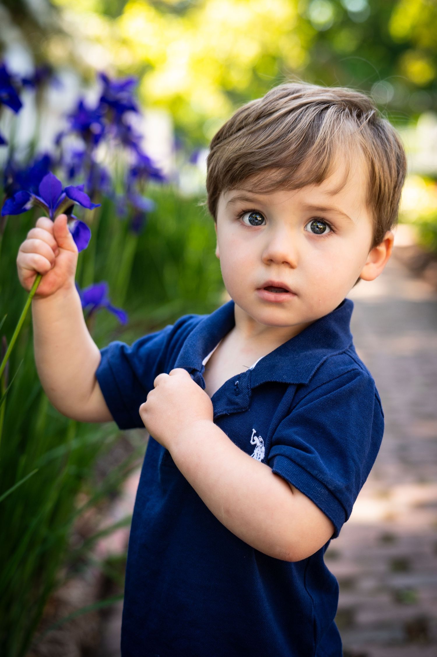 A toddler in a navy polo shirt curiously reaches toward purple iris flowers blooming in a garden setting. New Hampshire Family Photography