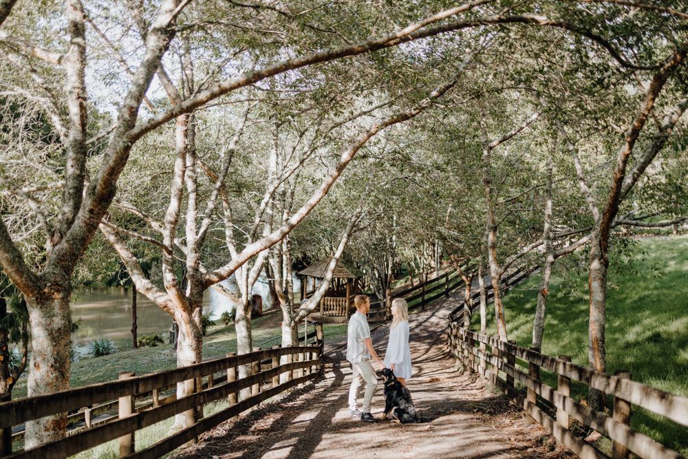 Two people stroll together on a wooden walkway surrounded by white birch trees in a park setting.