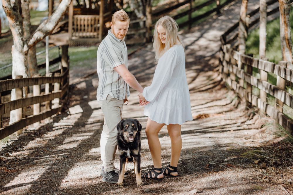 A couple walks their black dog along a wooden boardwalk path surrounded by trees on a sunny day.
