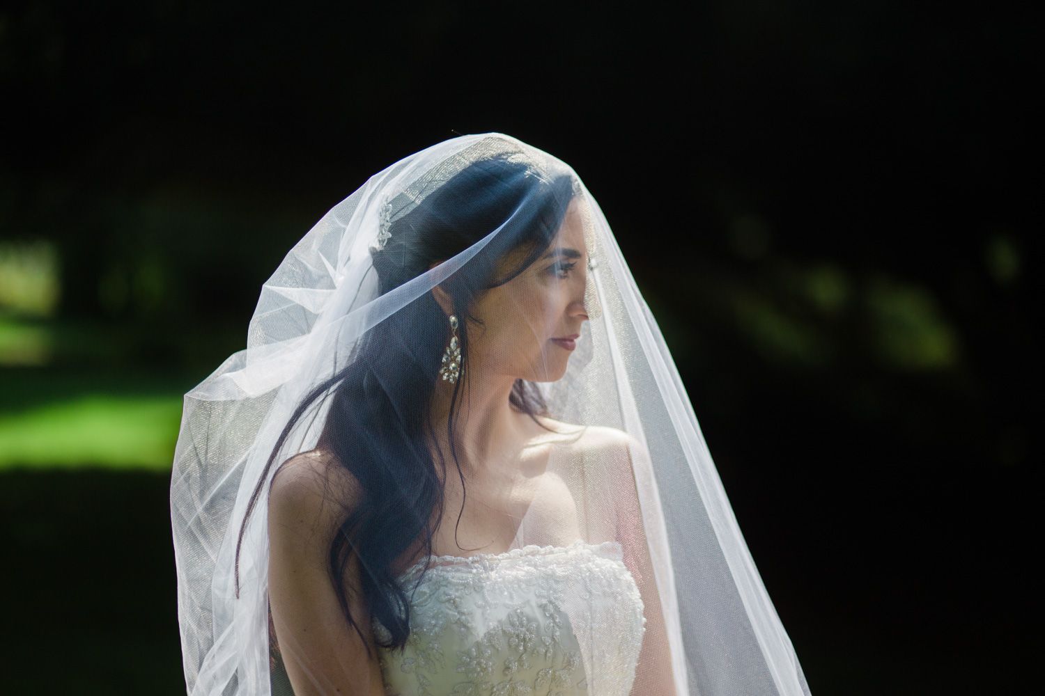 Portrait of bride wearing a veil