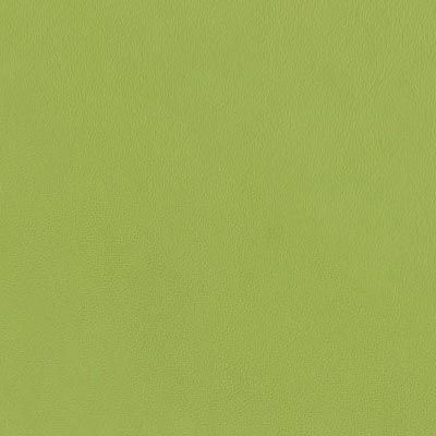 lime nappa album colour swatch