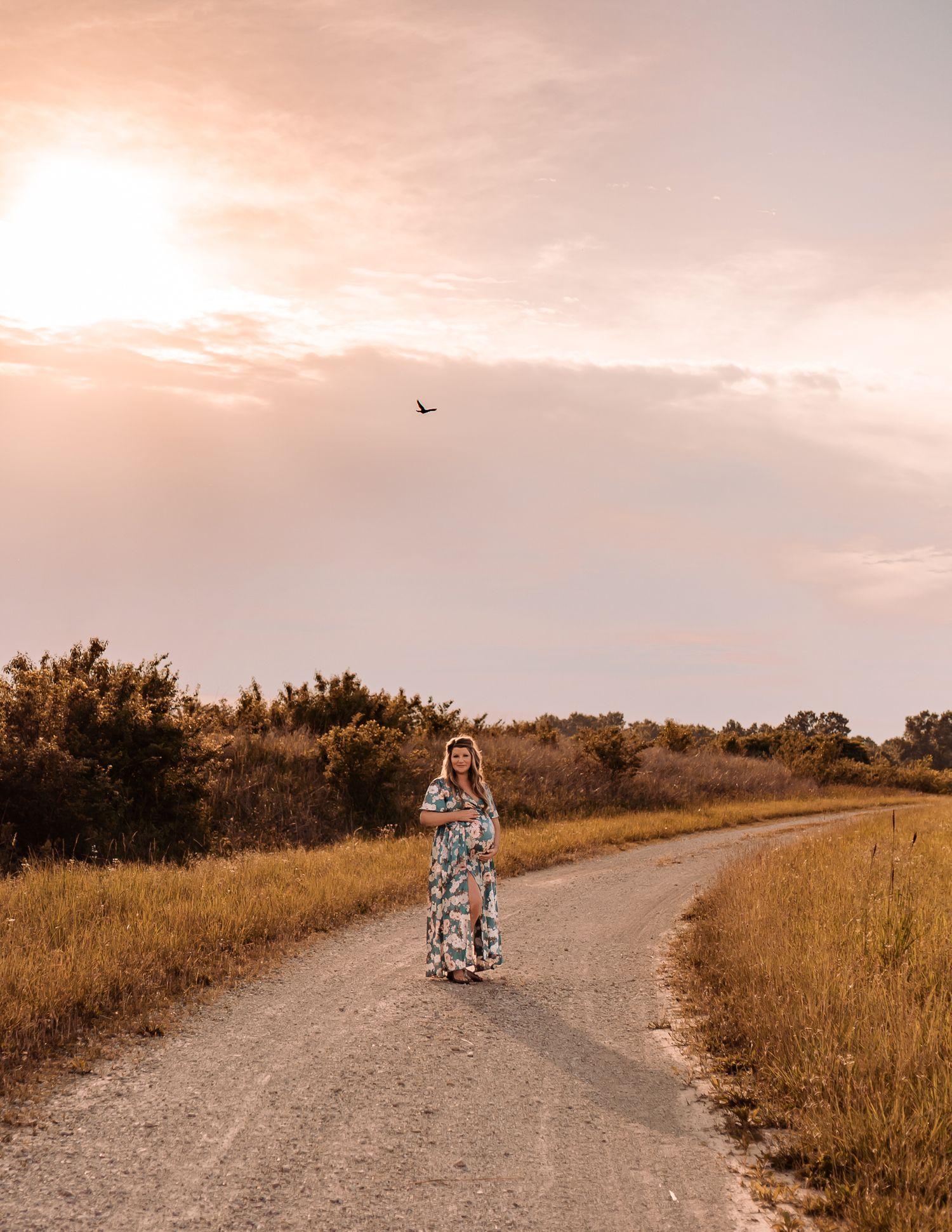 St Louis Maternity Portraits August A. Busch Conservation Area