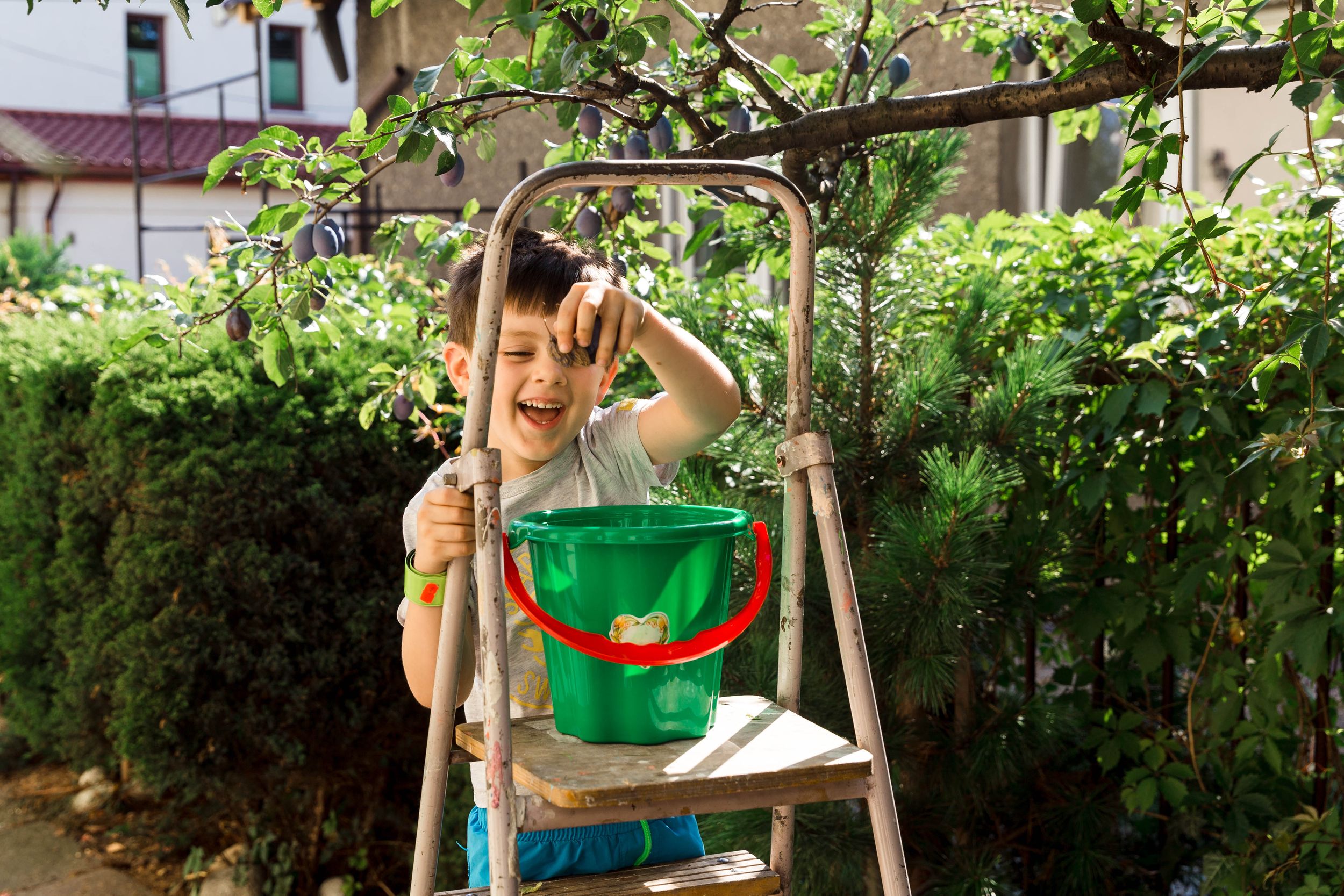 smiling boy picking plums from tree