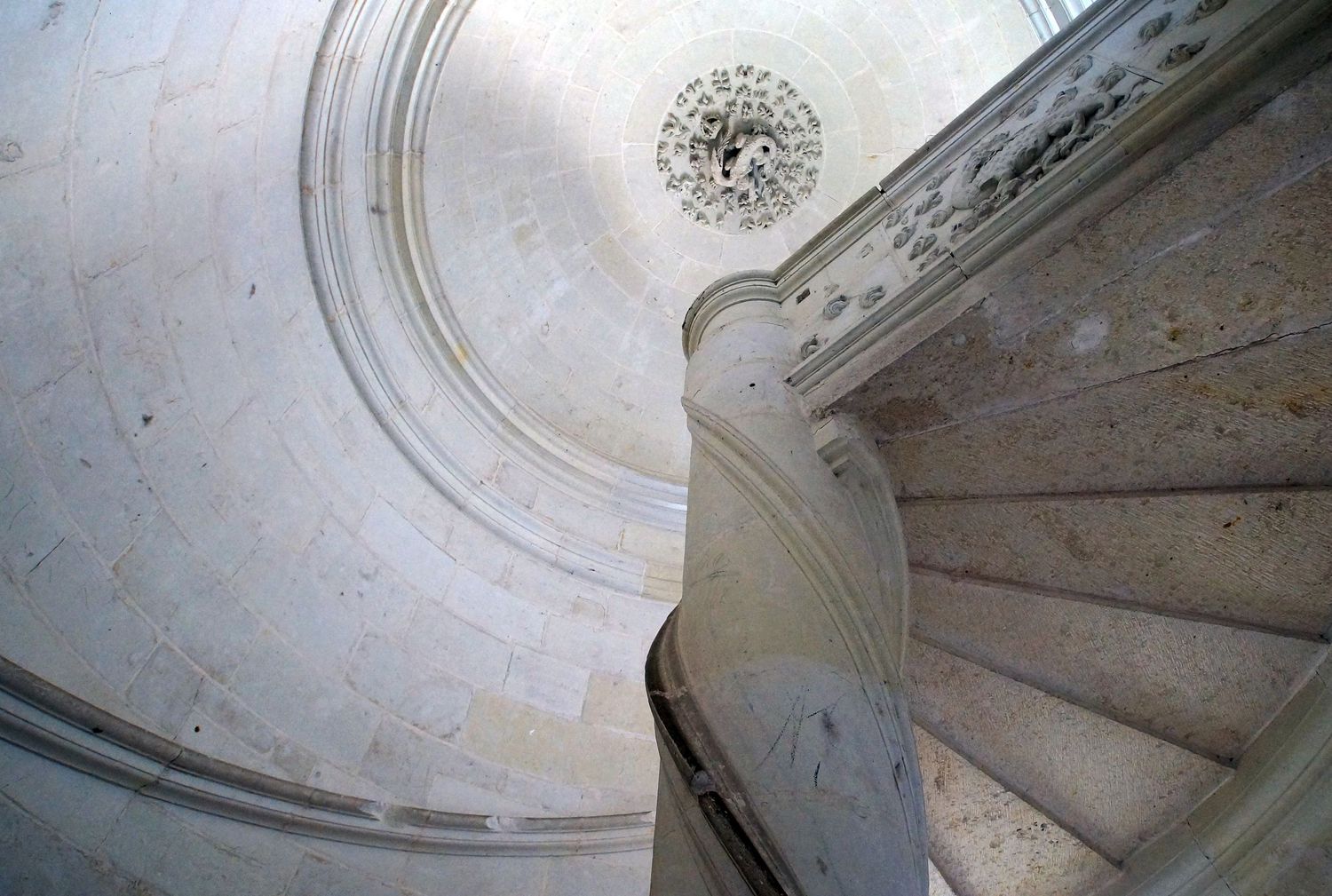 Escalier intérieur et salamandre au château de Chambord / Région Centre Val de Loire