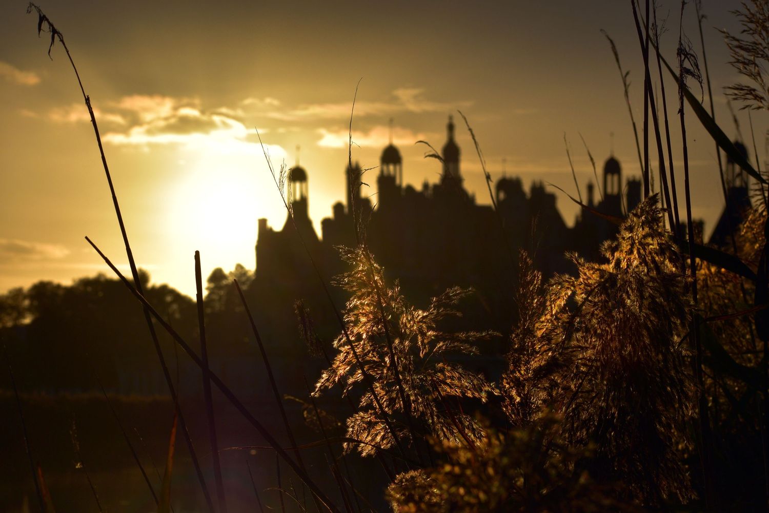 Silhouette et lumière d'automne au château de Chambord / Région Centre Val de Loire