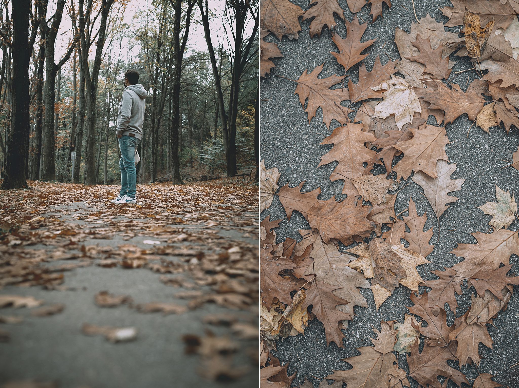 couleurs d'automne celine.s Photography