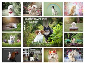 Humane Tomorrow 2021 Pet Calendar