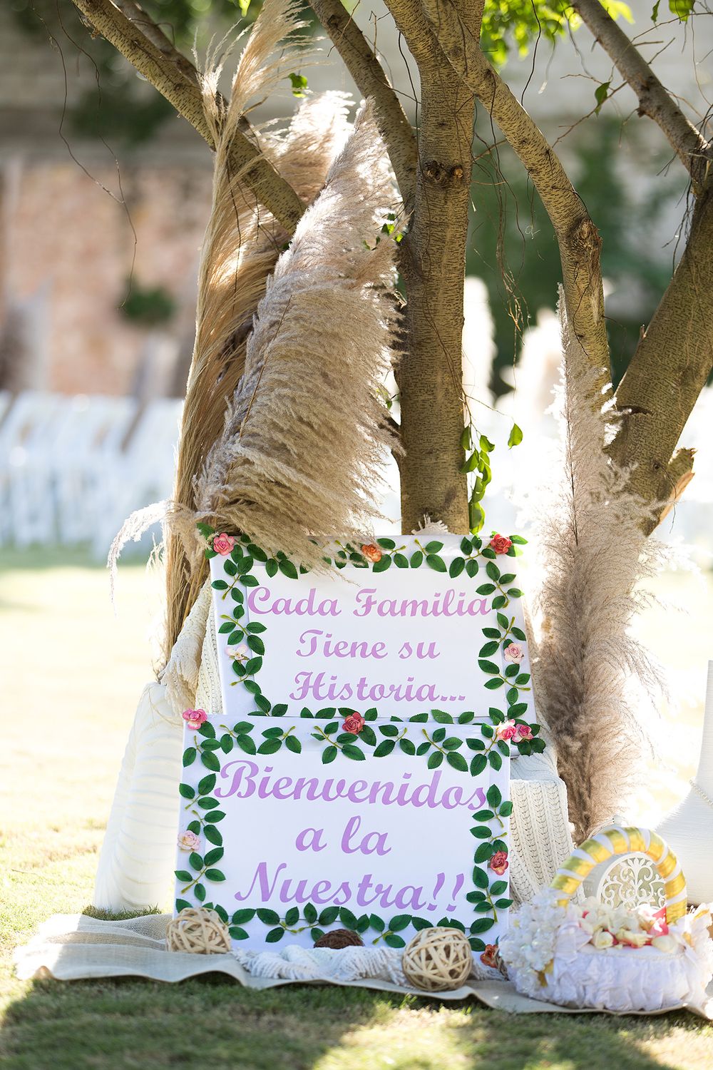 fotografías de boda - Praedium Graden Events Santo Domingo este - By Ranyel Raw Francisco & Karen