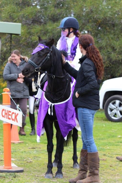 Decorated black horse and rider in purple attire at equestrian check point with spectators.