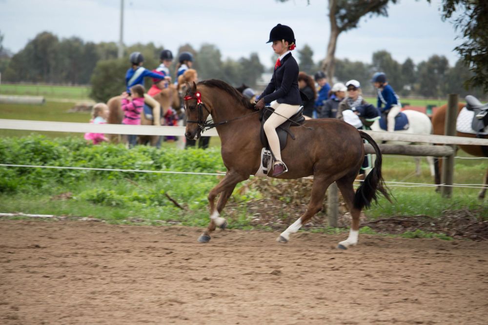 An equestrian rider on a brown horse performing in a dirt riding arena.
