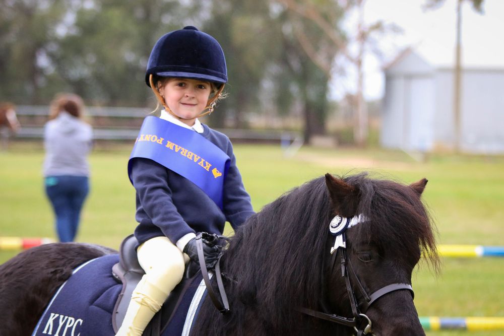 Equestrian competitor in navy riding gear on black horse during competition.