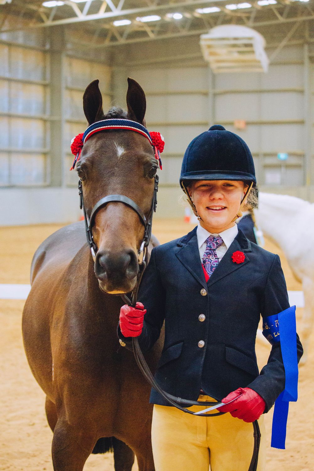 Brown show horse wearing red rosettes with rider in formal equestrian attire.