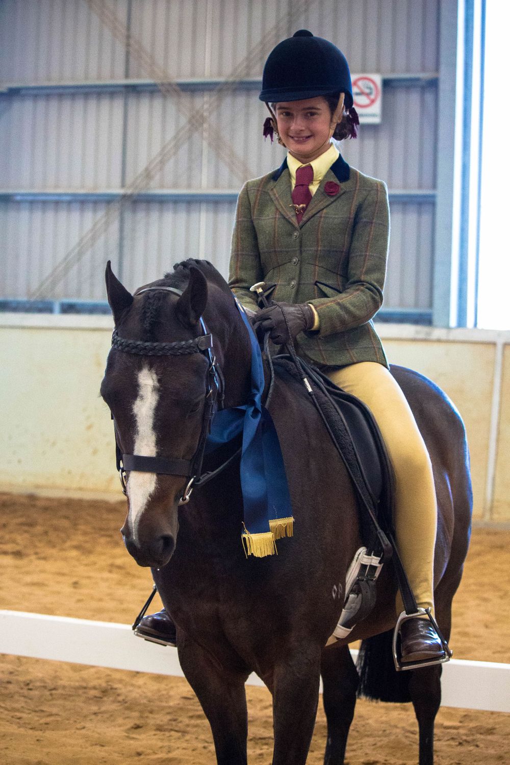 Dark horse and rider in traditional hunt attire during indoor arena competition.