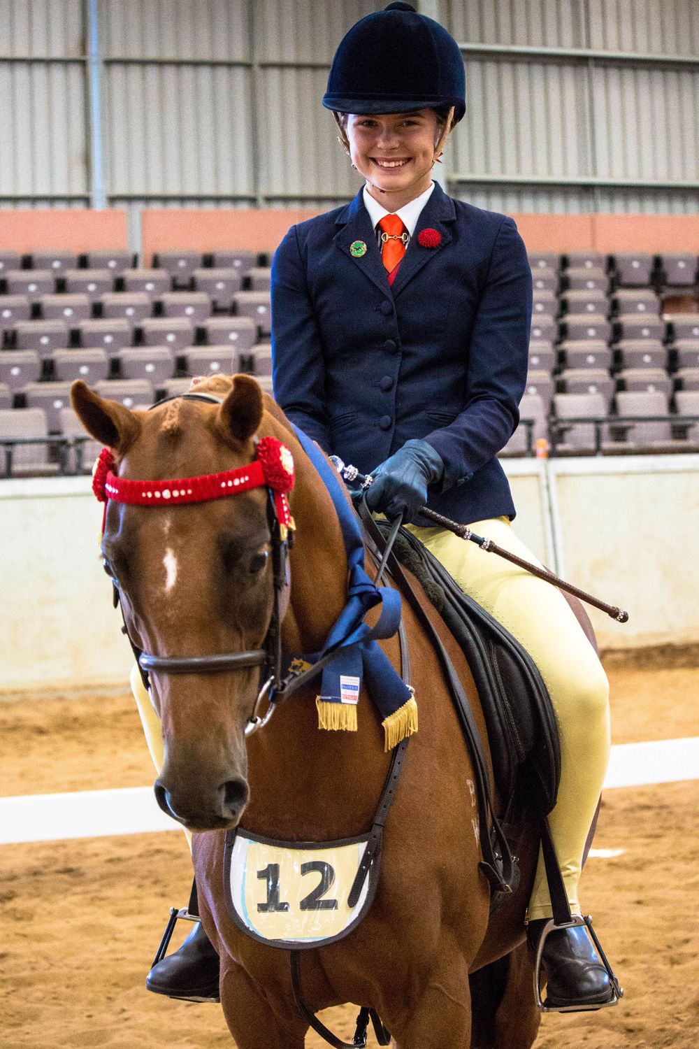 Competitive rider in formal navy show jacket aboard a chestnut horse with competition number.