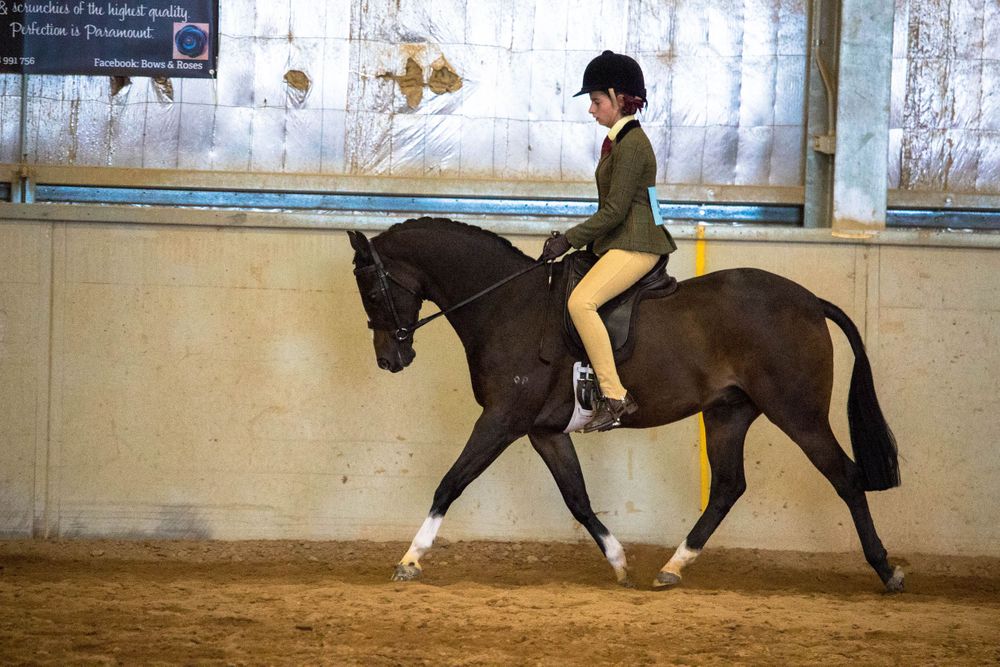 Equestrian riding a black horse performs dressage movements in an indoor arena.