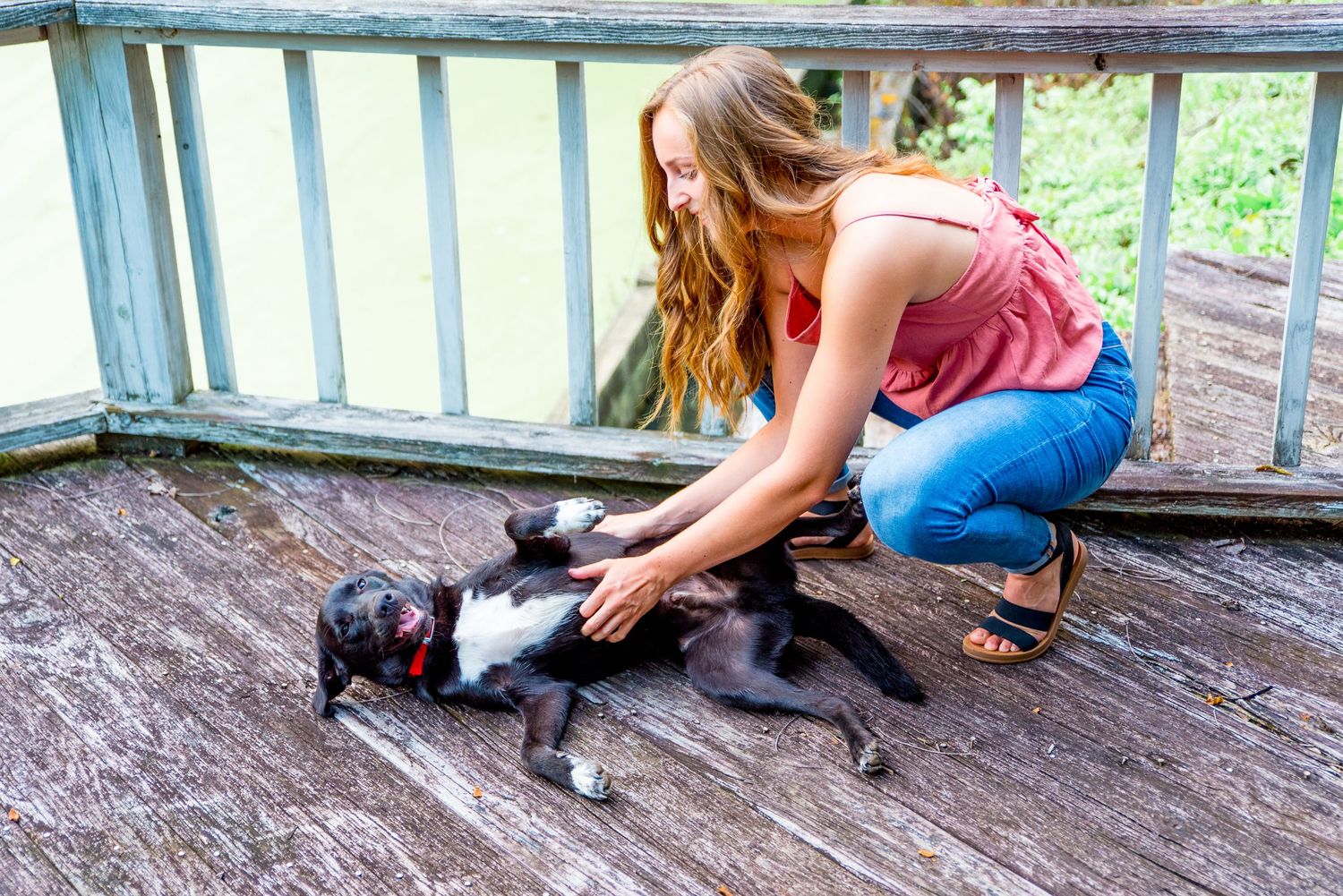 teenage girl, dog, belly rub, laughing, famly photos, Cincinnati OH
