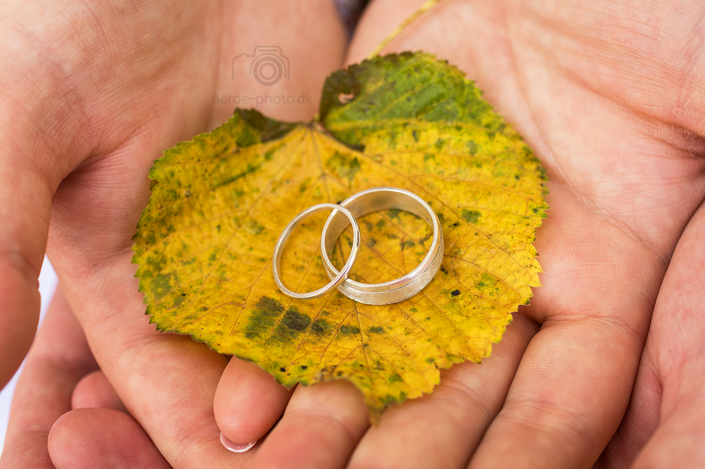 Wedding rings on a nice yellow & green autumn leaf.