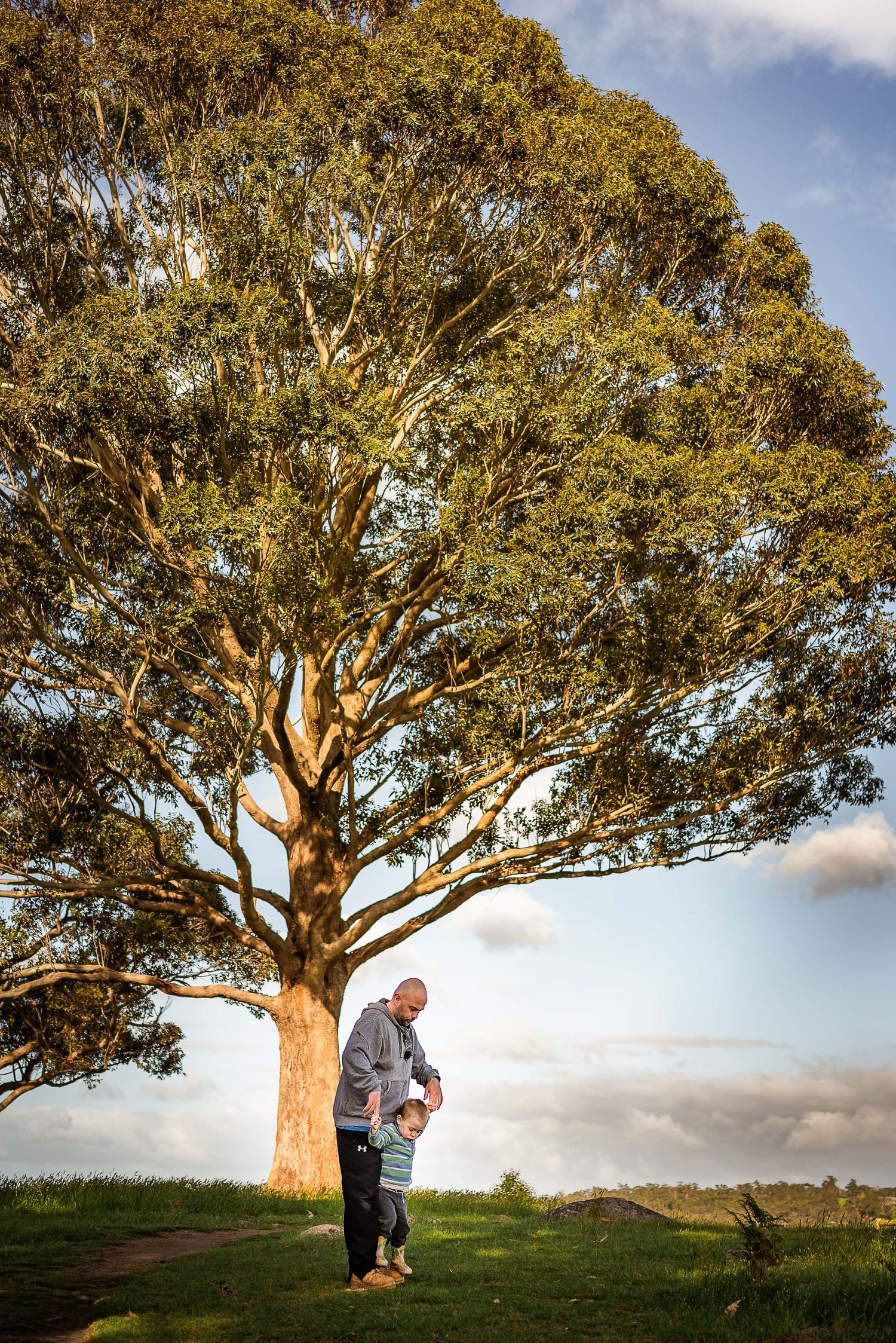 Rocky Hilltop at Lysterfield photographed by Kate Cashin Photography