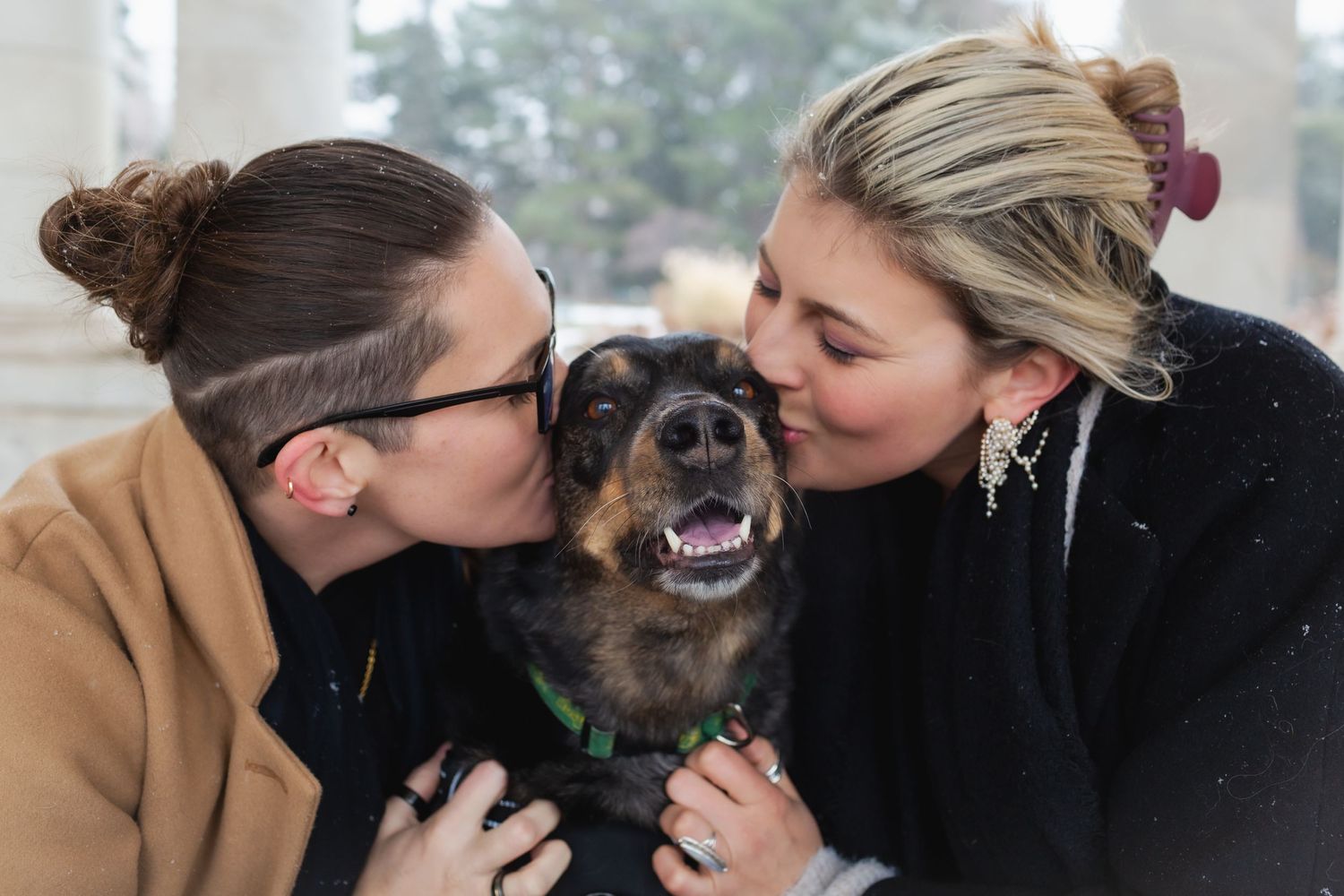 Denver family photographer, Denver dog photographer, Colorado family photographer, Colorado dog photographer