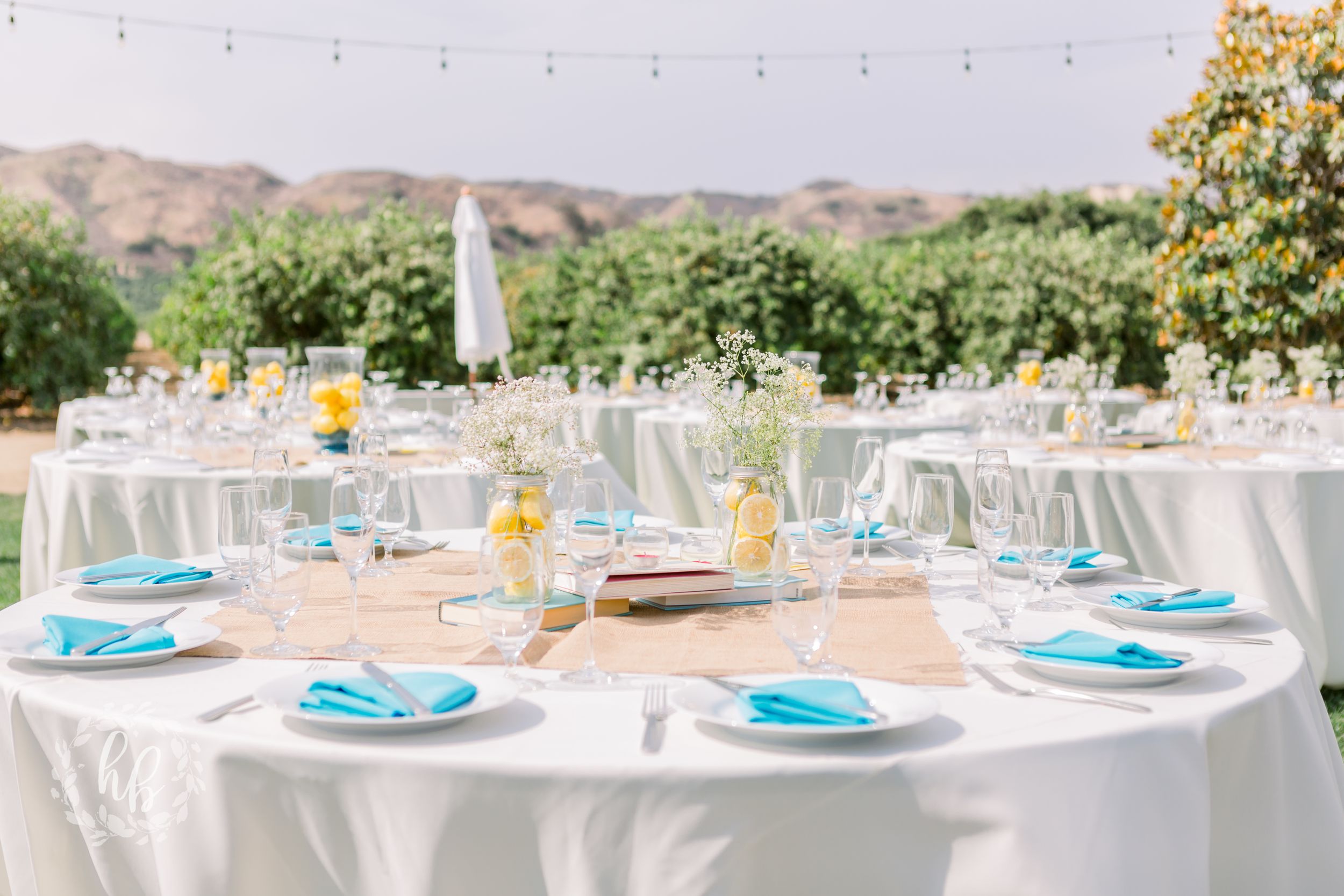 limoneira ranch wedding photos santa paula wedding wedding photographer