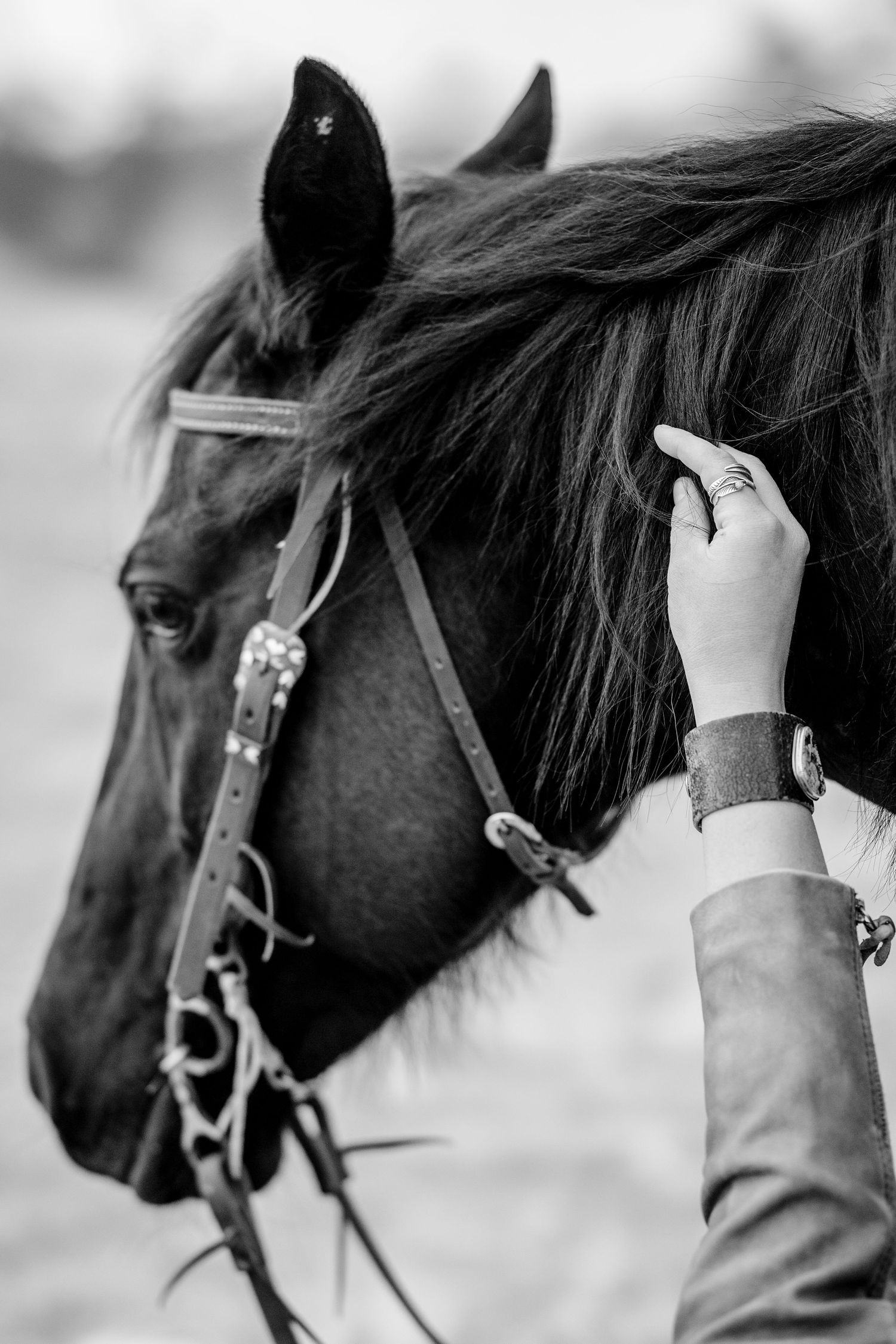 Black and white equestrian fine art photography details macro portrait equine photographer quarter horse
