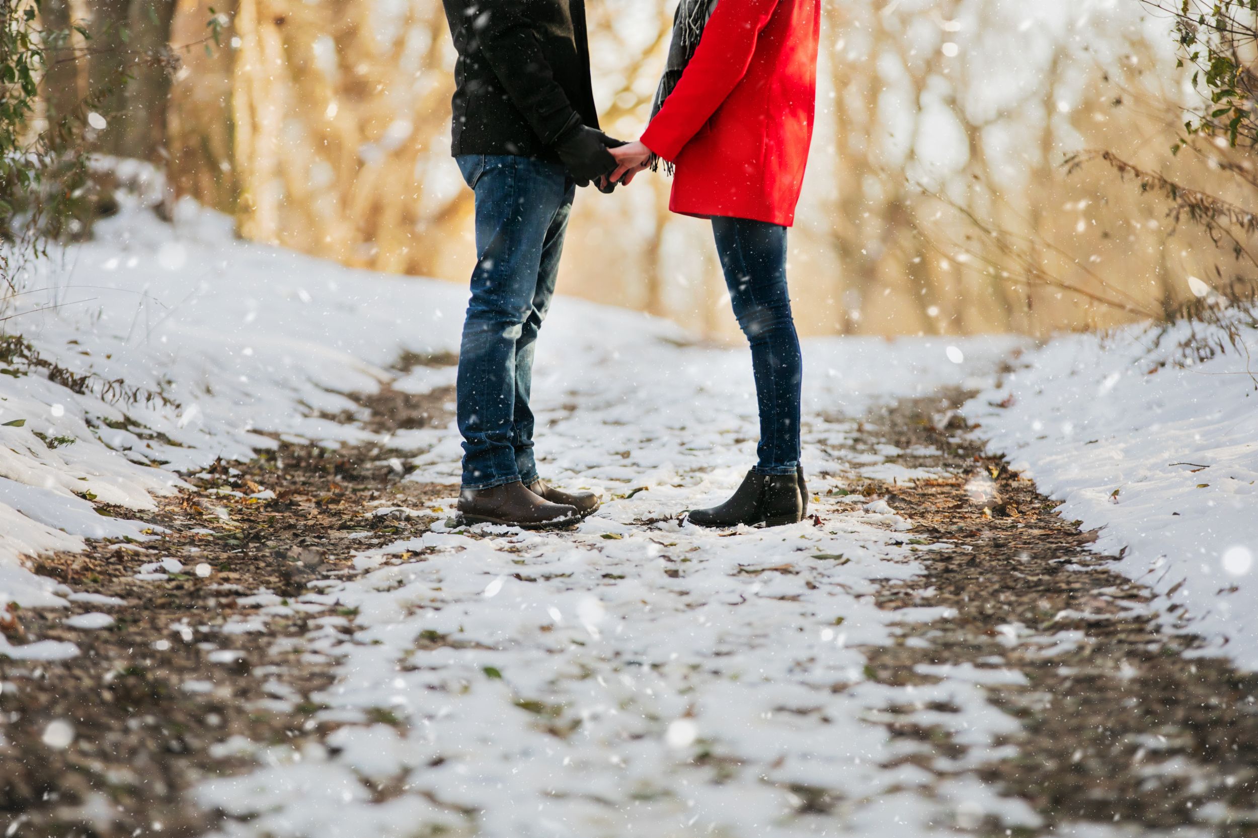 Winter Engagement Photos at Fanshawe Conservation Area London