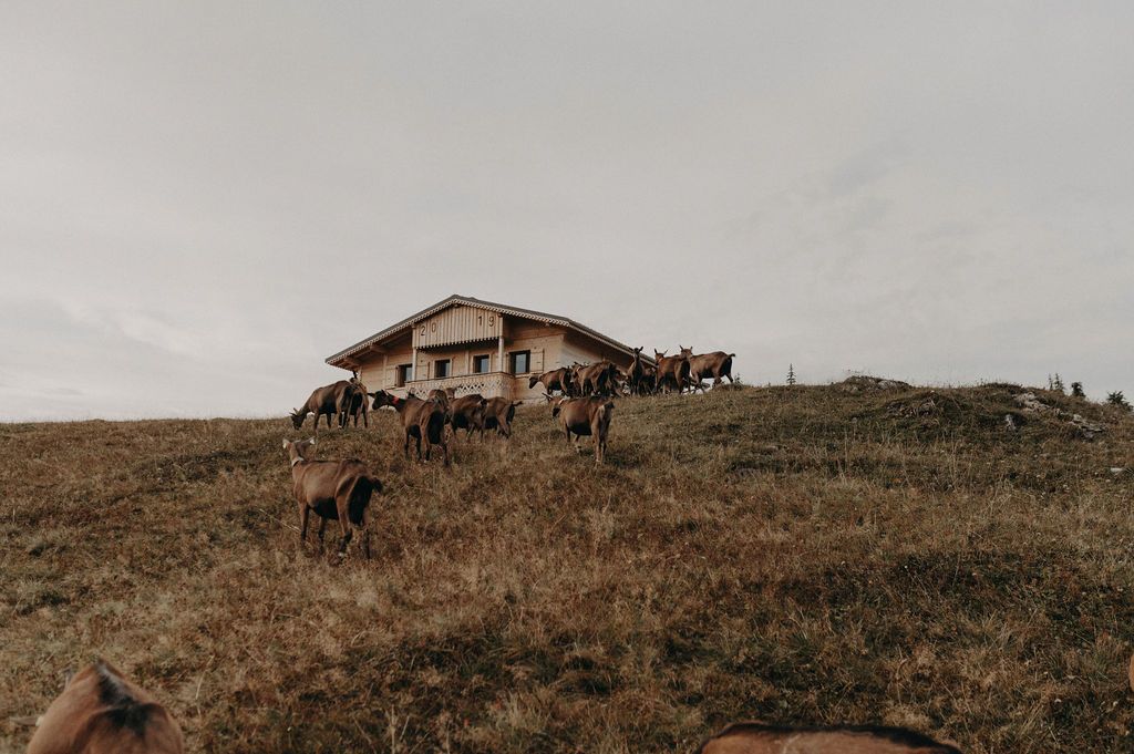photographe corporate haute savoie