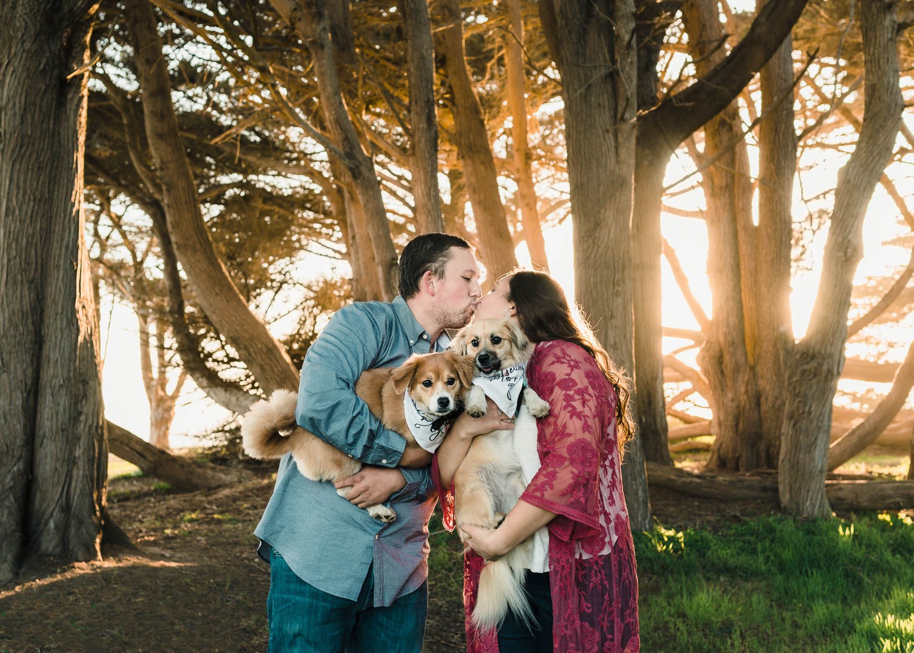 Engaged couple sharing a kiss while holding their two small dogs.
