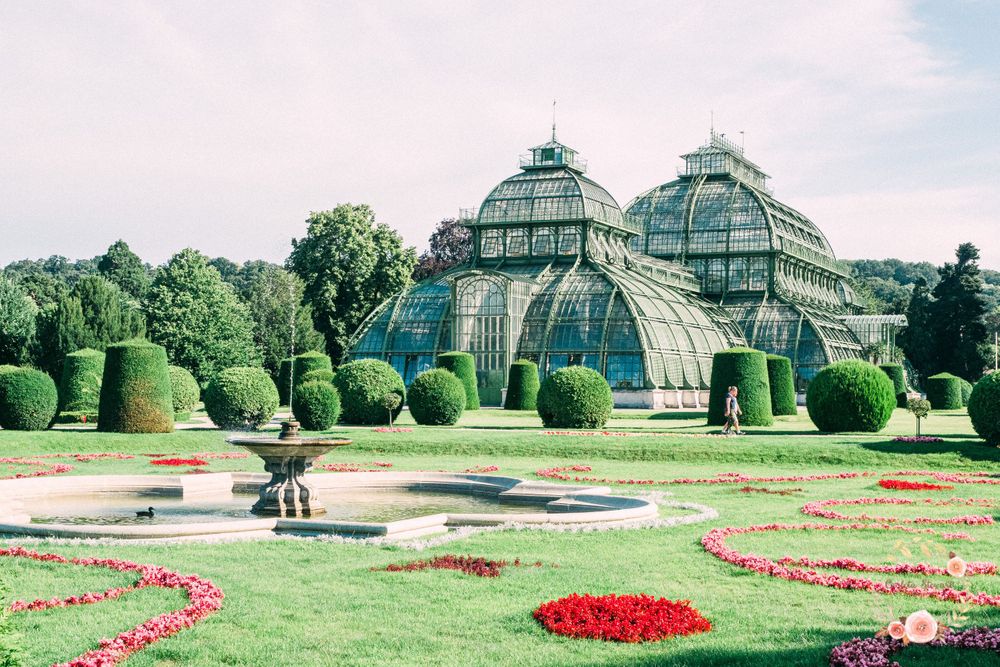 Photoshoot in Vienna, Family destination photographer in Austria