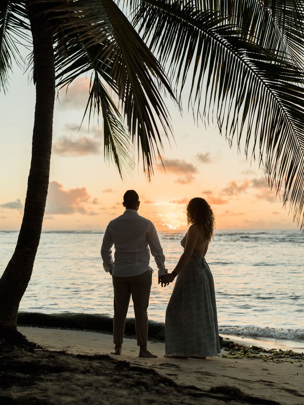 Silhouette d'un couple sous un cocotier sur une plage de Guadeloupe devant le lever du soleil