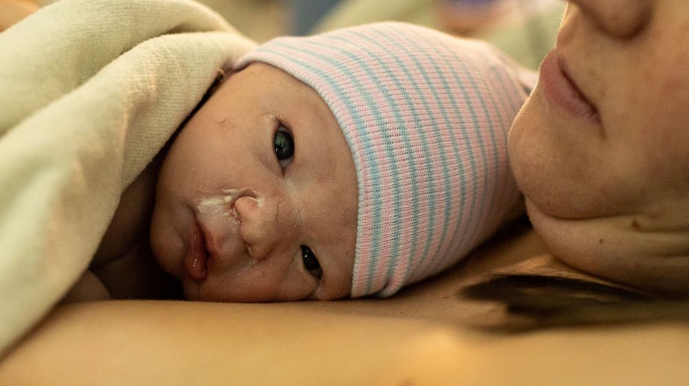 Baby looking alert moments after his birth. Longmont Birth Photographer Catherine Rose Photography