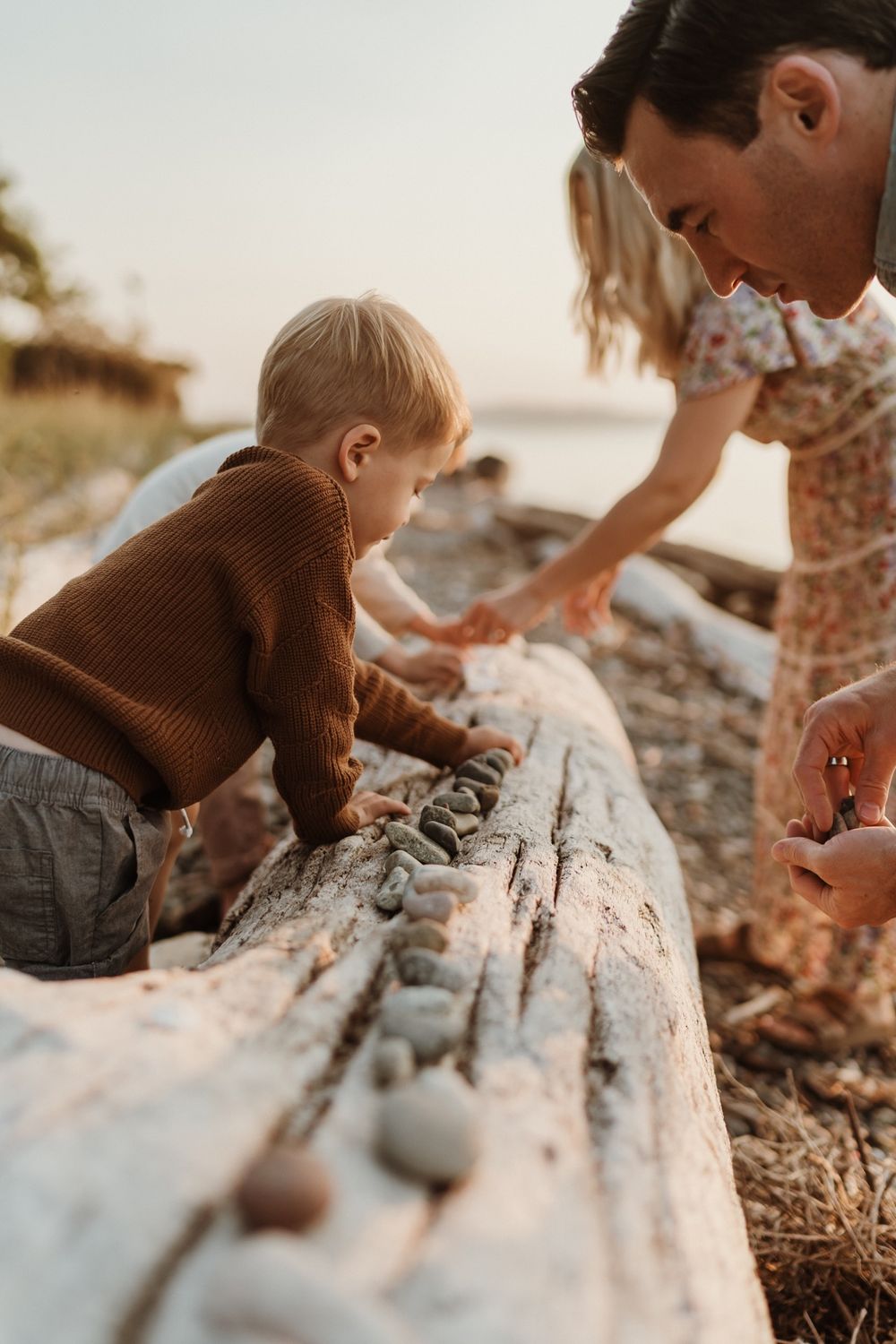 Family of four placing seashells on driftwood log at beach