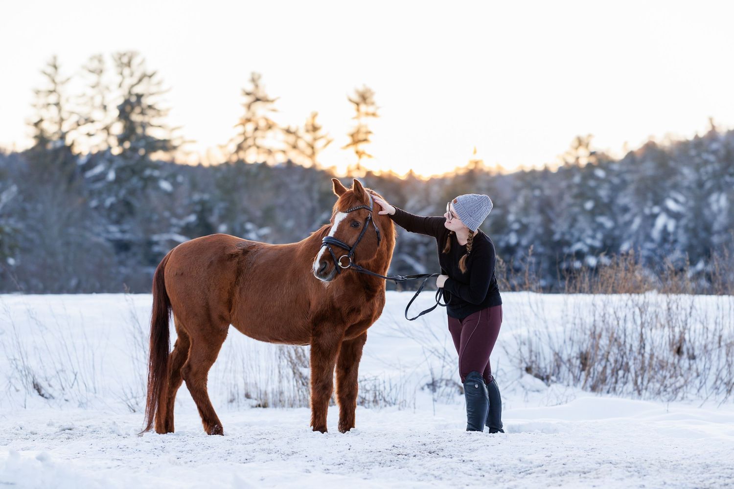 Senior horse professional photography new england winter