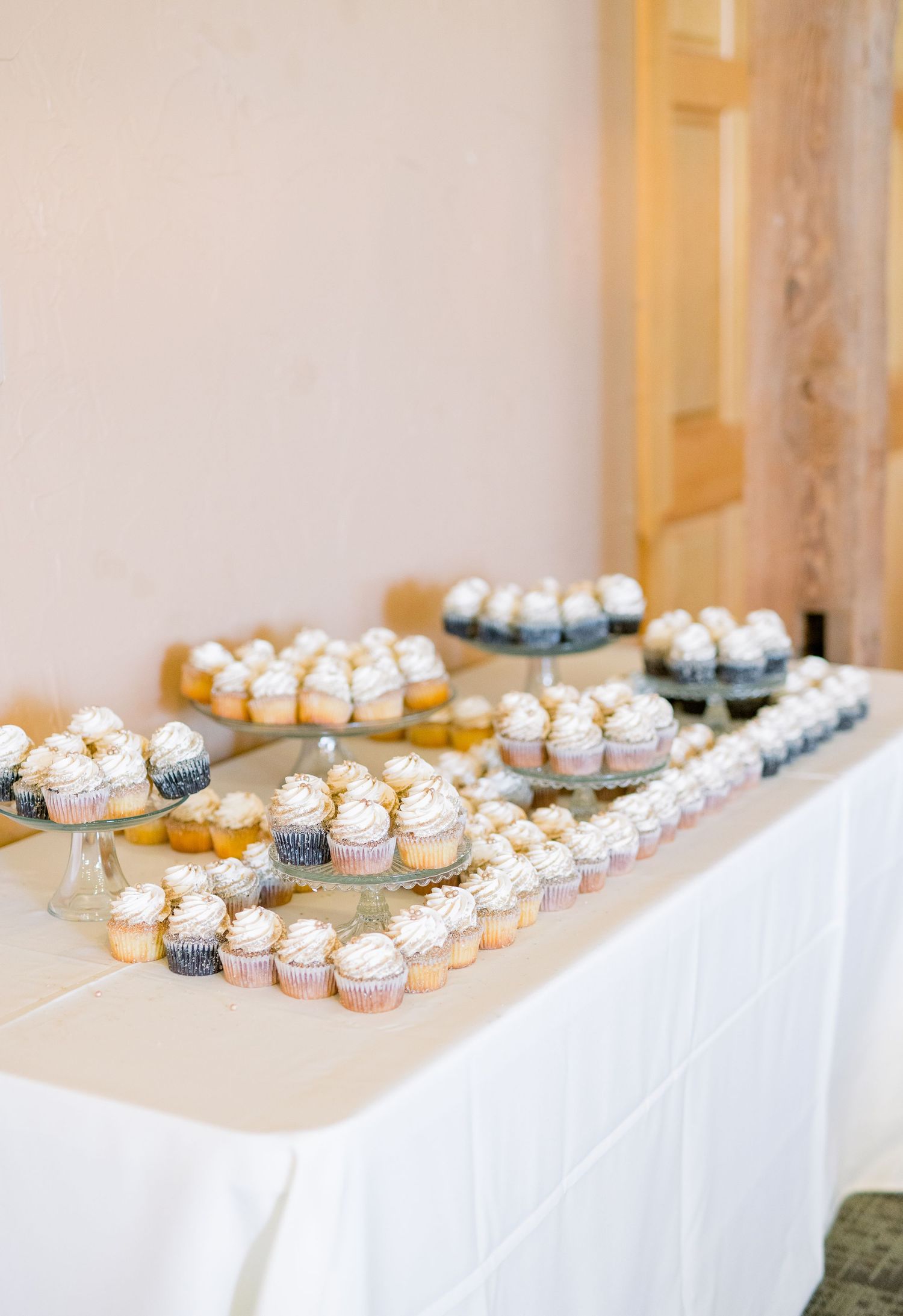 Vineyard photos with white willow events at Prairie Moon Winery wedding in Ames, Iowa